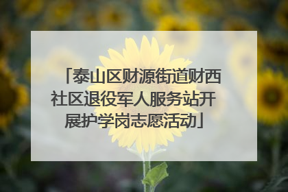 泰山区财源街道财西社区退役军人服务站开展护学岗志愿活动