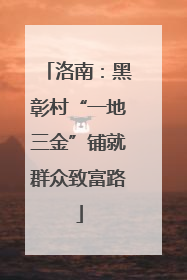 洛南：黑彰村“一地三金”铺就群众致富路