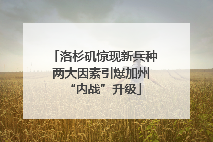 洛杉矶惊现新兵种 两大因素引爆加州“内战”升级