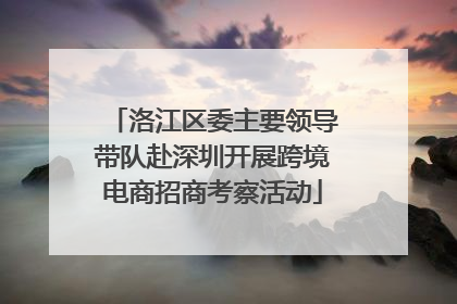 洛江区委主要领导带队赴深圳开展跨境电商招商考察活动