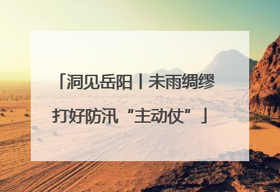 洞见岳阳丨未雨绸缪 打好防汛“主动仗”