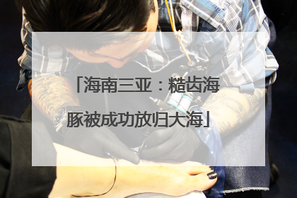 海南三亚：糙齿海豚被成功放归大海