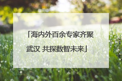 海内外百余专家齐聚武汉 共探数智未来