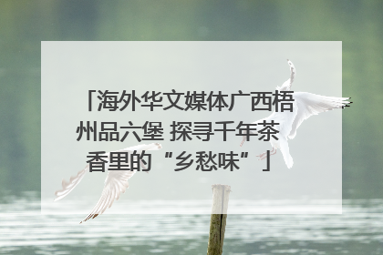 海外华文媒体广西梧州品六堡 探寻千年茶香里的“乡愁味”