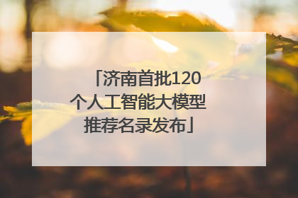 济南首批120个人工智能大模型推荐名录发布