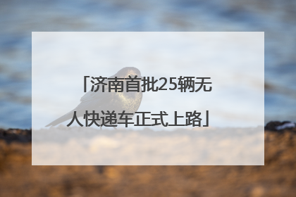 济南首批25辆无人快递车正式上路