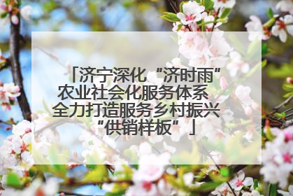 济宁深化“济时雨”农业社会化服务体系 全力打造服务乡村振兴“供销样板”