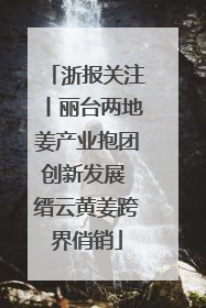 浙报关注丨丽台两地姜产业抱团创新发展 缙云黄姜跨界俏销