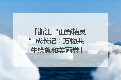 浙江“山野精灵”成长记：万物共生绘就和美画卷