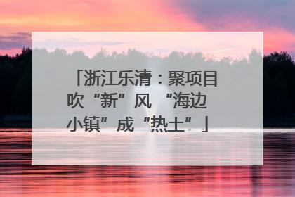 浙江乐清：聚项目吹“新”风 “海边小镇”成“热土”