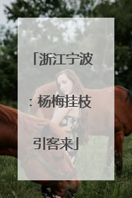 浙江宁波：杨梅挂枝引客来