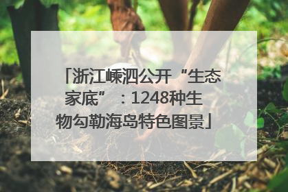 浙江嵊泗公开“生态家底”：1248种生物勾勒海岛特色图景