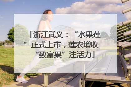 浙江武义：“水果莲”正式上市，莲农增收“致富果”注活力