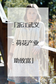 浙江武义：荷花产业助致富