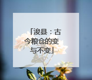 浚县：古今粮仓的变与不变