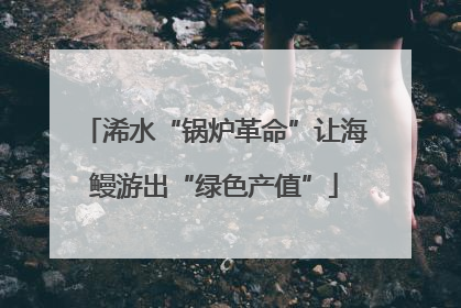 浠水“锅炉革命”让海鳗游出“绿色产值”