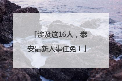 涉及这16人，泰安最新人事任免！
