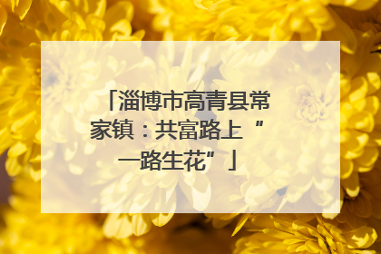 淄博市高青县常家镇：共富路上“一路生花”