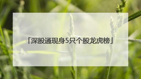 深股通现身5只个股龙虎榜