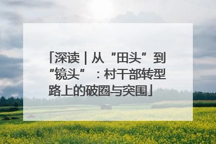 深读｜从“田头”到“镜头”：村干部转型路上的破圈与突围