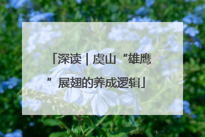 深读｜虞山“雄鹰”展翅的养成逻辑