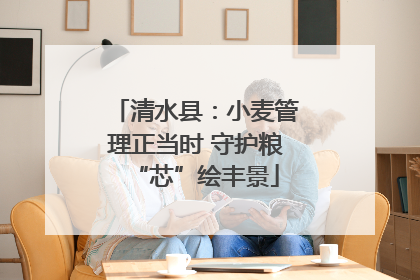 清水县：小麦管理正当时 守护粮“芯”绘丰景