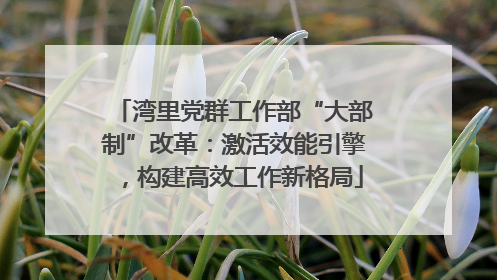 湾里党群工作部“大部制”改革：激活效能引擎，构建高效工作新格局