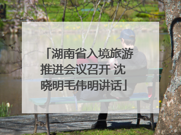 湖南省入境旅游推进会议召开 沈晓明毛伟明讲话