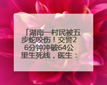 湖南一村民被五步蛇咬伤！交警26分钟冲破64公里生死线，医生：再晚20分钟或将呼吸肌麻痹