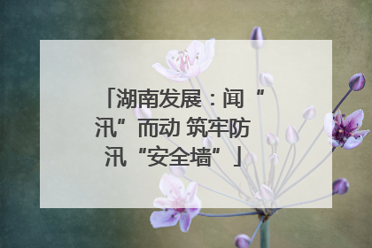 湖南发展：闻“汛”而动 筑牢防汛“安全墙”