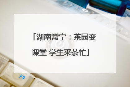 湖南常宁：茶园变课堂 学生采茶忙