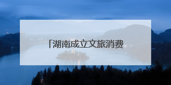 湖南成立文旅消费促进会 助力湖南文旅融入国际市场
