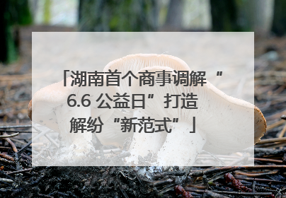 湖南首个商事调解“6.6 公益日”打造解纷“新范式”