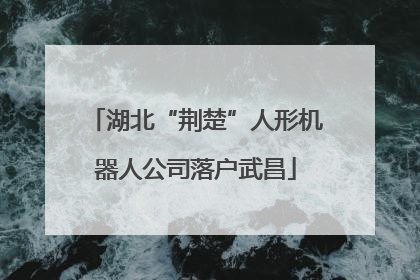 湖北“荆楚”人形机器人公司落户武昌