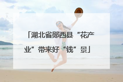 湖北省郧西县“花产业”带来好“钱”景