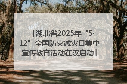 湖北省2025年“5·12”全国防灾减灾日集中宣传教育活动在汉启动