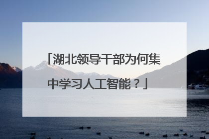 湖北领导干部为何集中学习人工智能？