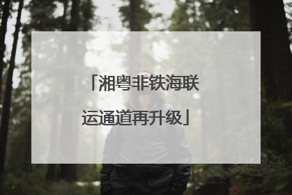 湘粤非铁海联运通道再升级