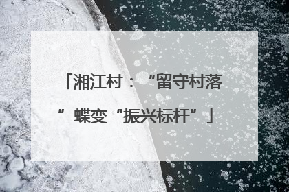 湘江村：“留守村落”蝶变“振兴标杆”