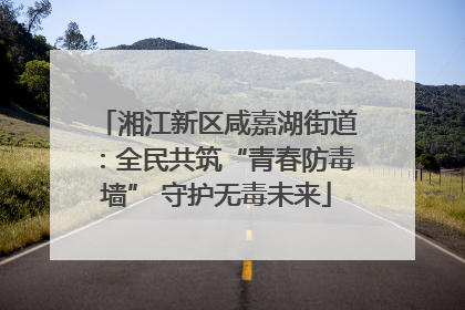 湘江新区咸嘉湖街道：全民共筑“青春防毒墙” 守护无毒未来