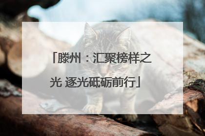 滕州：汇聚榜样之光 逐光砥砺前行