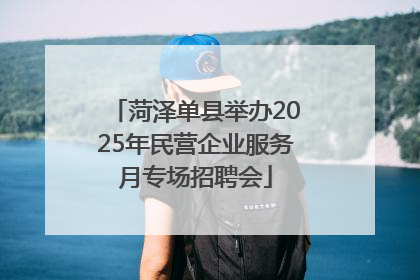 菏泽单县举办2025年民营企业服务月专场招聘会