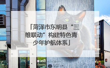 菏泽市东明县“三维联动”构建特色青少年护航体系