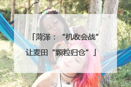 菏泽：“机收会战”让麦田“颗粒归仓”