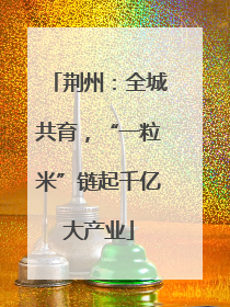 荆州：全城共育，“一粒米”链起千亿大产业