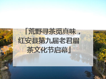 荒野寻茶觅真味，红安县第九届老君眉茶文化节启幕