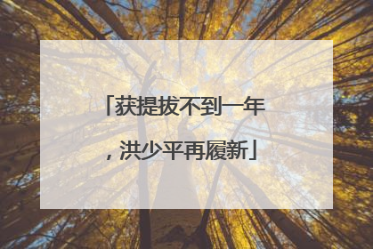 获提拔不到一年，洪少平再履新