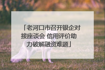 老河口市召开银企对接座谈会 信用评价助力破解融资难题