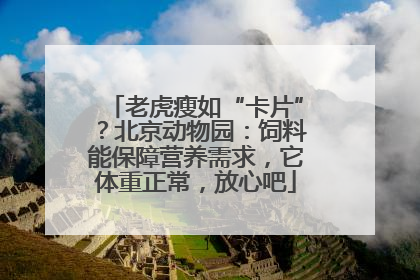 老虎瘦如“卡片”？北京动物园：饲料能保障营养需求，它体重正常，放心吧