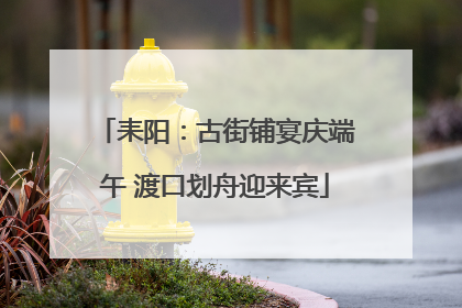 耒阳：古街铺宴庆端午 渡口划舟迎来宾